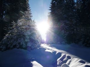 Již na Silvestra bývá na Šumavě hodně sněhu, který romanticky jiskří v paprscích zimního slunce - silvestrovské a vánoční pobyty